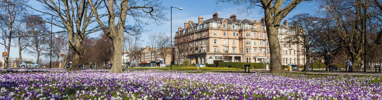 Harrogate town centre gardens with spring crocuses and historic buildings